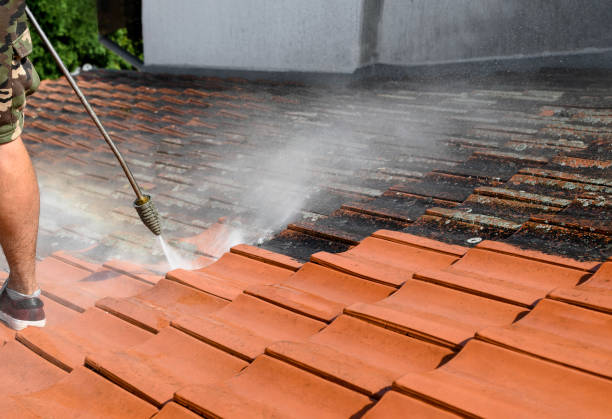 Best Power Washing Near Me  in Austin, MN