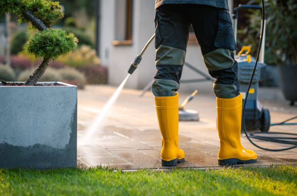 Best Affordable Pressure Washing  in Austin, MN
